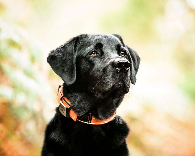 Lara Maskell Gallery - Favourites