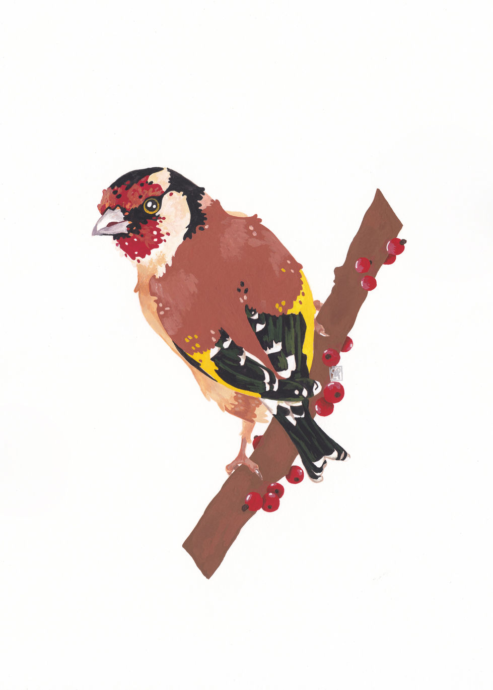 oiseau01.jpg