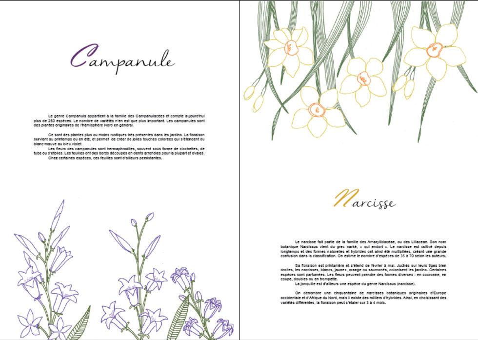campanule.jpg