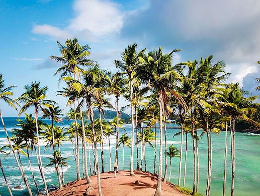 MIRISSA