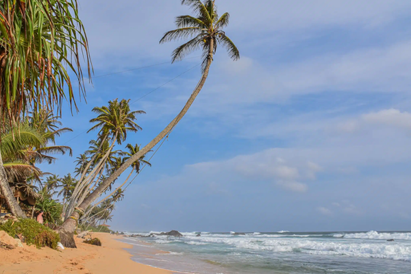 GALLE 2