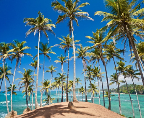 mirissa