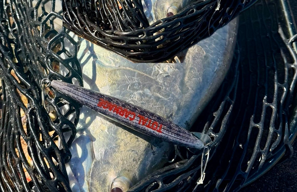 Thumbnail: 6in Original Porosus lure Total Carnage 
