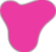 organic-shape-orange.png