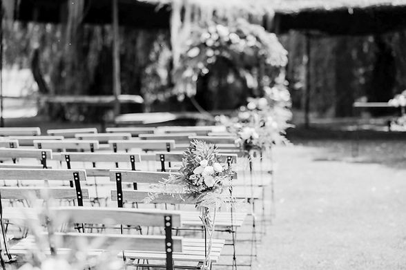 Captura de pantalla 2026-02-13 a las 13.10_edited.jpg