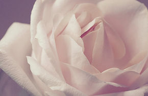 Video (webcam) counselling