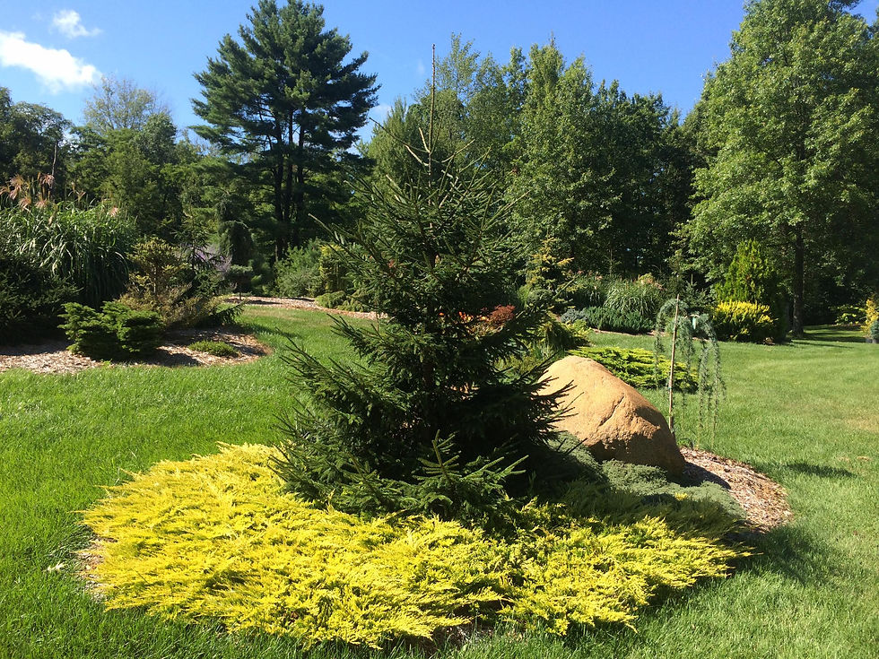 display gardens 9.jpg
