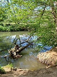1c82ffe4-0f6c-41fe-bb65-0c567135dad1.JPG