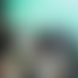 Brasil lança a maior trilha sinalizada da América Latina na COP30