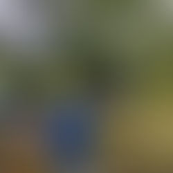 Dia da Consciência Negra: marco na história e convite a cuidar da vida