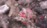 Asbestos-in-soils-2-1024x613.jpg