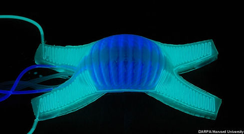 darpa-soft-robots-cropped-proto-custom_2