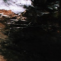 96481101-94E0-48DB-9A5A-479A8D0C1ED1.jpeg