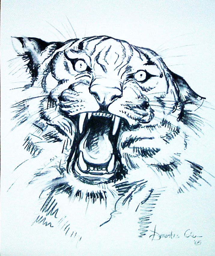 Little Tiger