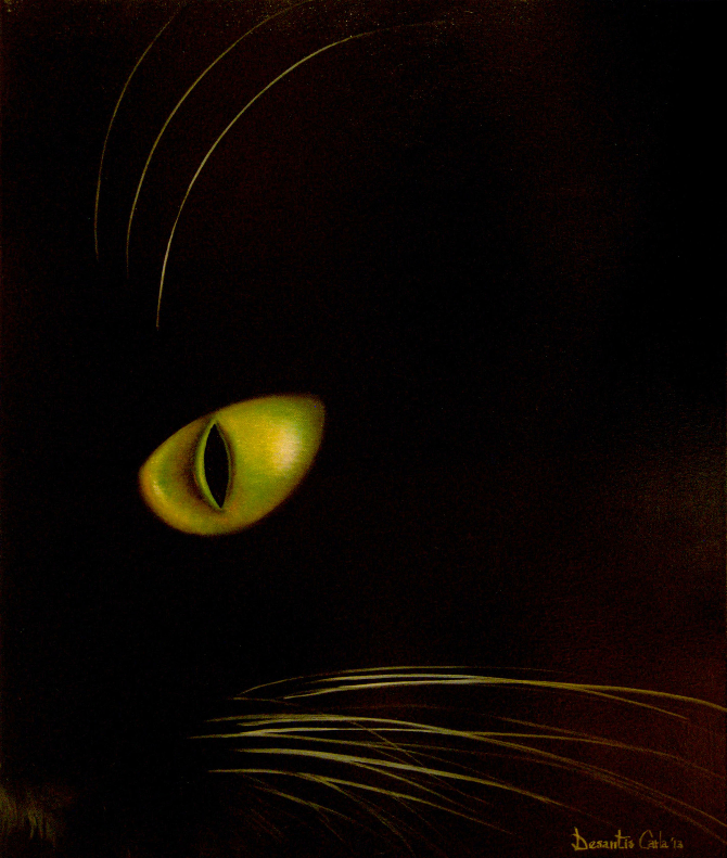 Cat in the darkness