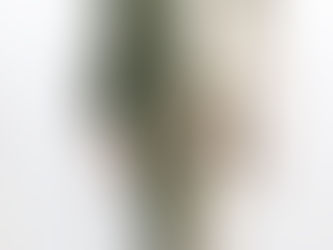 Нижегородская научно-производственная компания «Медериус» стала 18-м резидентом