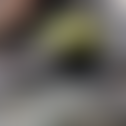 Agradecimentos aos parceiros.