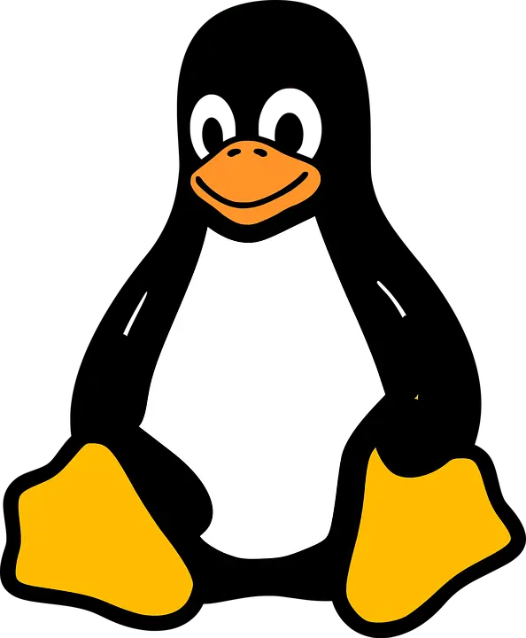 V2Ray VPN Multi-Platform Support