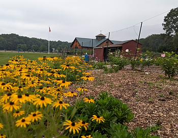 LOL Food Share Garden.png