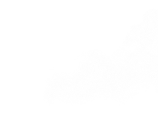 עיצוב ללא שם (8).png