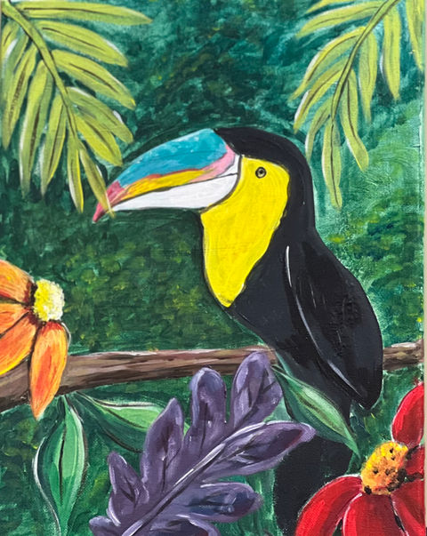 toucan
