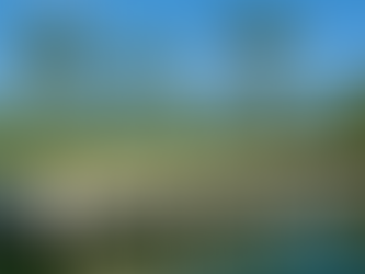 How Do Tides and Water Depth Affect Marine Construction Design Choices?