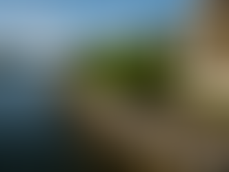 Sustainable Marine Construction: Hybrid “Green + Gray” Solutions for Shoreline Resilience