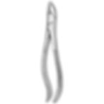 pinza