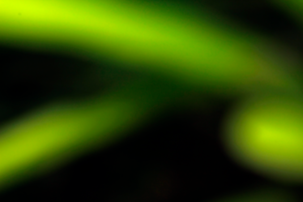 _MG_0545.png