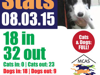 MCAS Intakes & Daily Stats - 8.3.15 - 18 pets in, 32 pets out