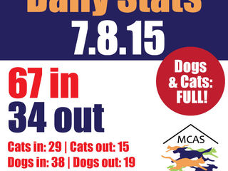 MCAS Intakes & Daily Stats - 7.8.15 - 67 pets in, 34 pets out