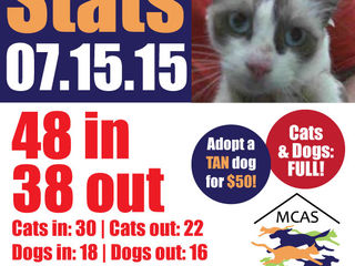 MCAS Intakes & Daily Stats - 7.15.15 - 48 pets in, 38 pets out