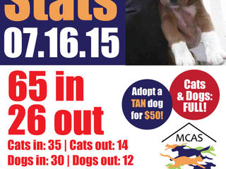 MCAS Intakes & Daily Stats - 7.16.15 - 65 pets in, 26 pets out