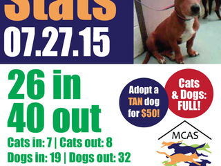 MCAS Intakes & Daily Stats - 7.27.15 - 26 pets in, 40 pets out