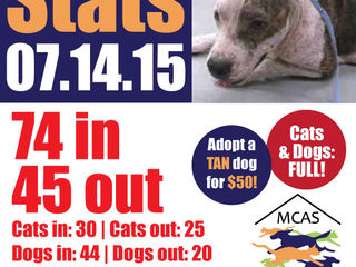 MCAS Intakes & Daily Stats - 7.14.15 - 74 pets in, 45 pets out