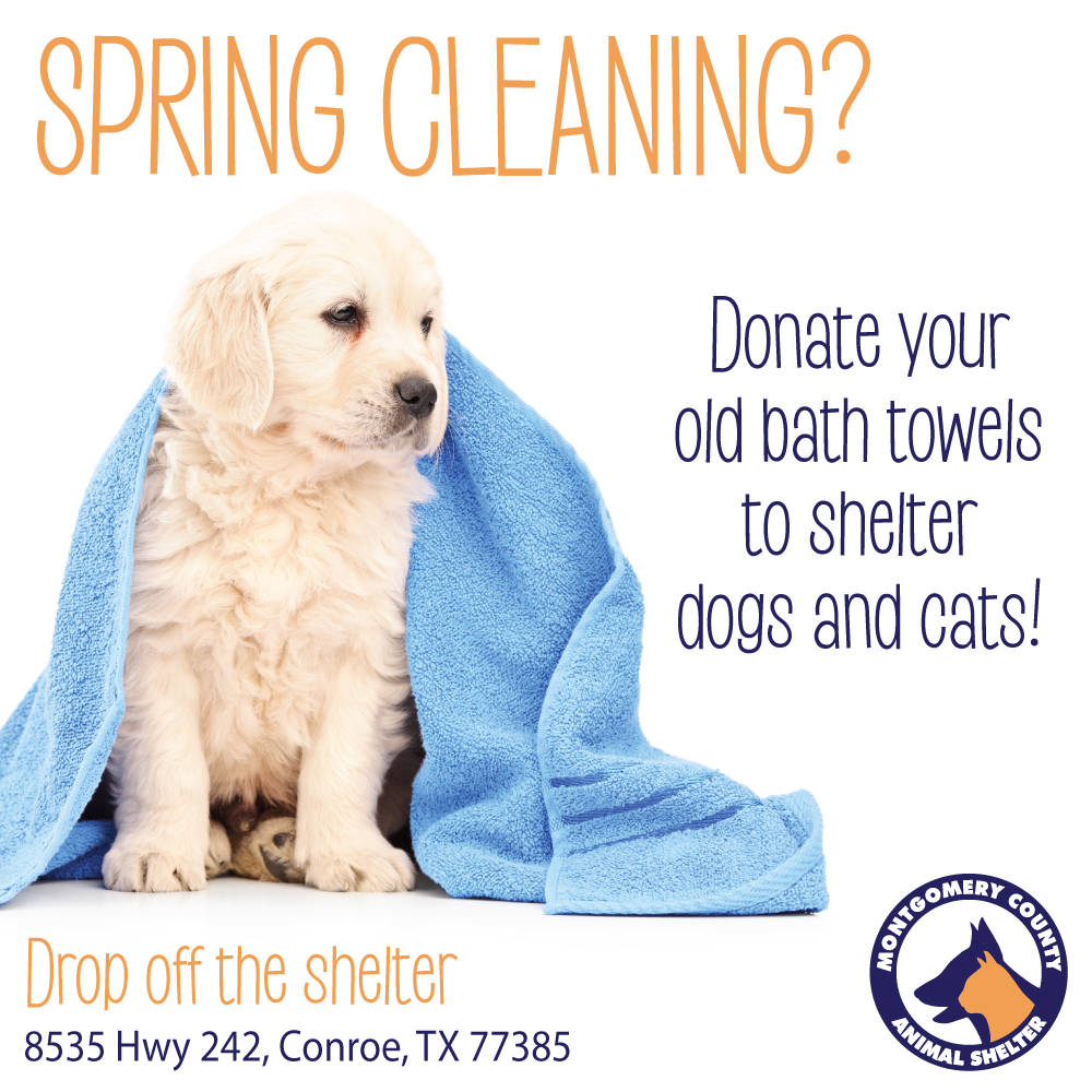 Bring Us Your Old Bath Towels