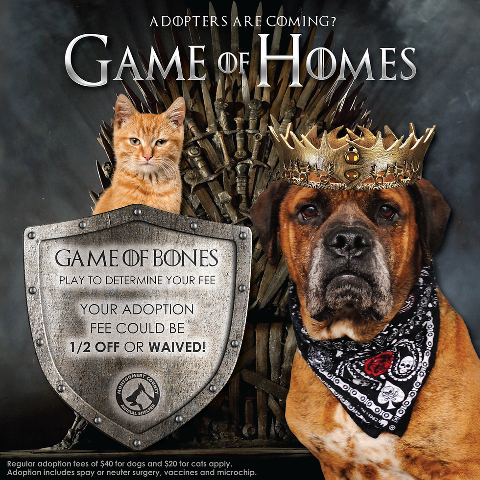 game of homes pet adoption promotion