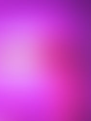 HONK & BENTO! Mallorca Kult Party 23.08.25