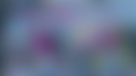 The Art of Selfies - Nippon Marathon Top 10!