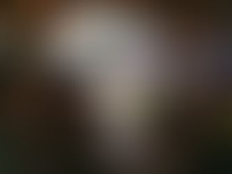 Save The Date 2022, 2023, 2024