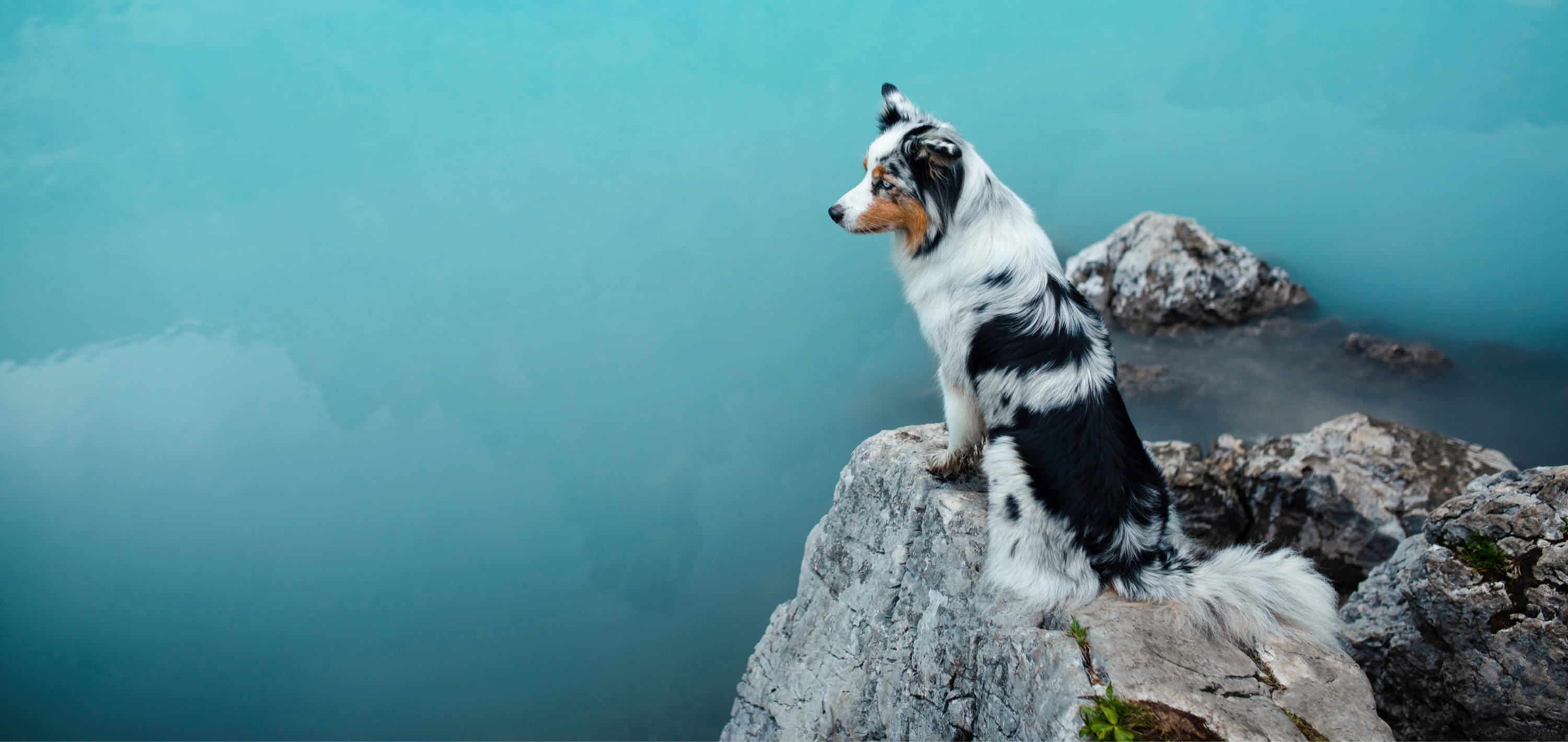 Authentische Seelenverbindungen schaffen