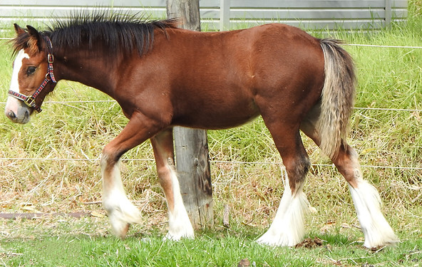 DSCN5759.JPG