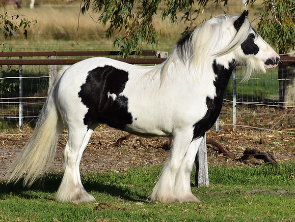 DSC_0069.JPG