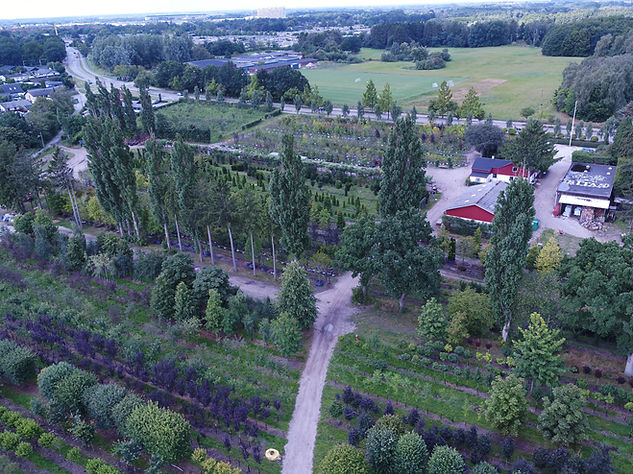 DJI_0041.jpg
