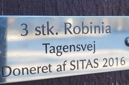 tagensvej 3x. robinia.jpg