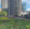 Defoe Place.jpg