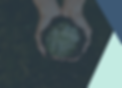 Banner sustentabilidad.png