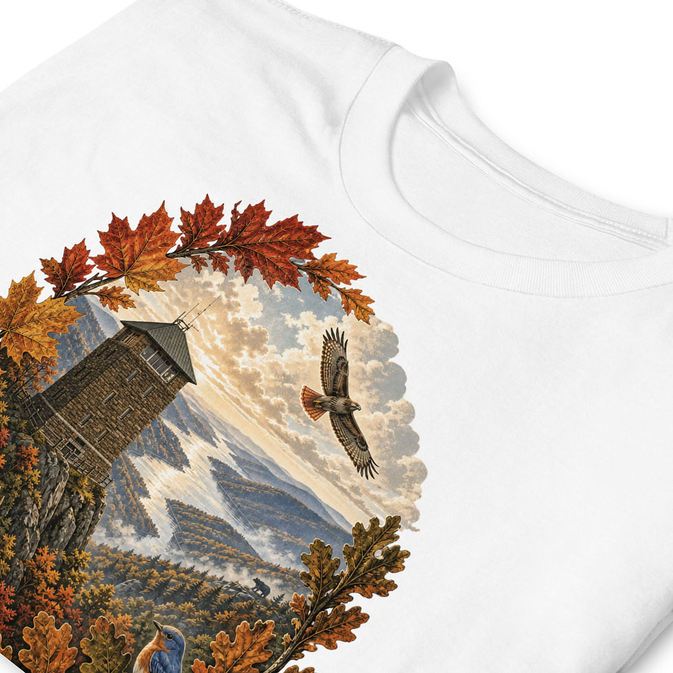 Thumbnail: Bear Mountain State Park – New York T‑Shirt - Hudson Highlands Edition