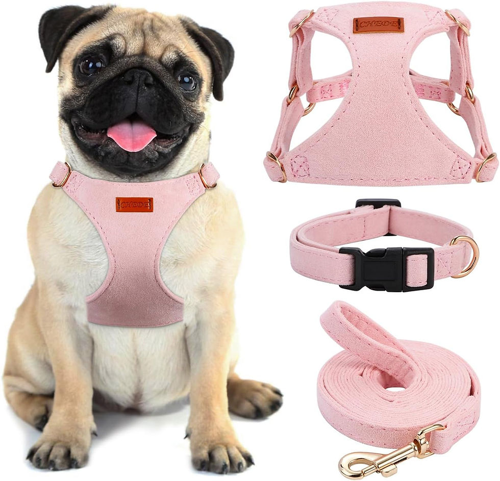 Thumbnail: No Pull Dog Harness- Lightweight, Soft, Adjustable Small Harness Collar and Lea