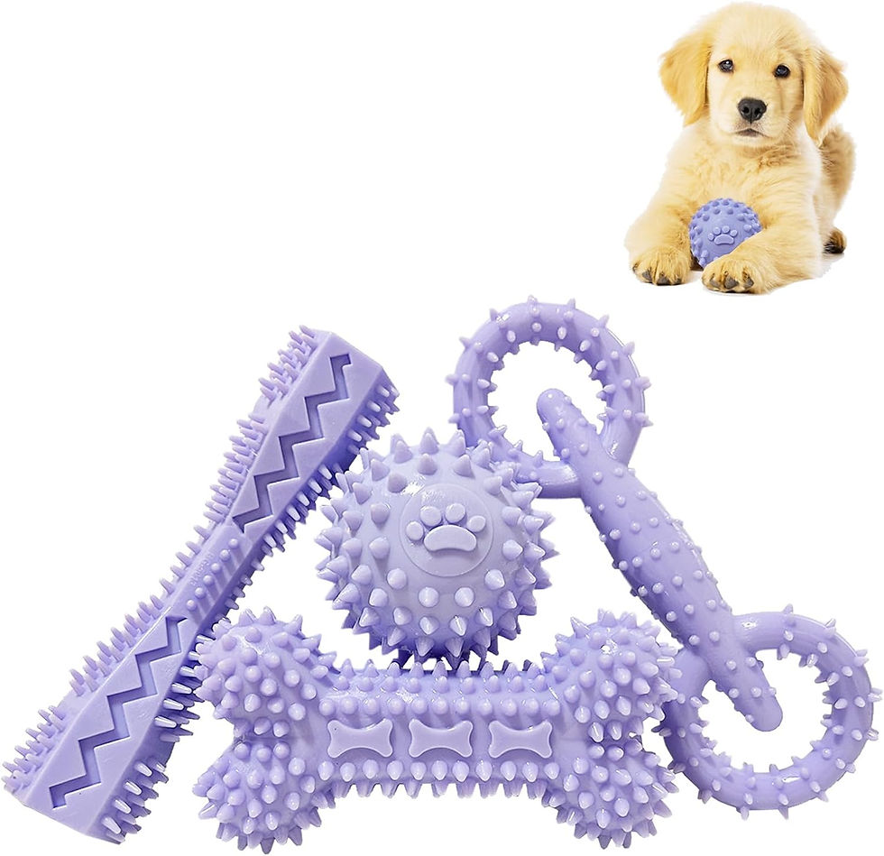 Thumbnail: 4 Pack Puppy Toys for 2-8 Months Pets Dog Chew Toy for Small Puppies Teething T